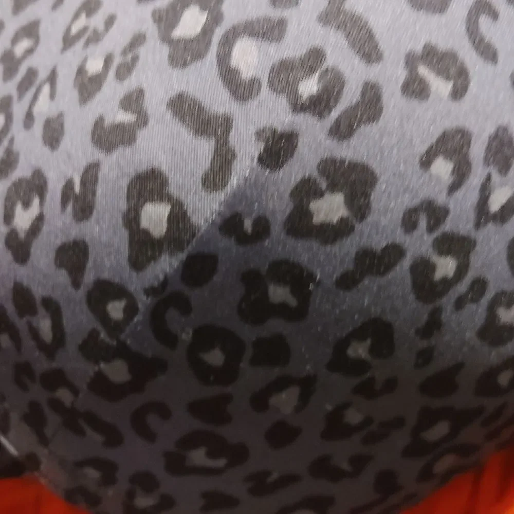 Sears Gray Leopard Print Bra with Orange Bottom (508)